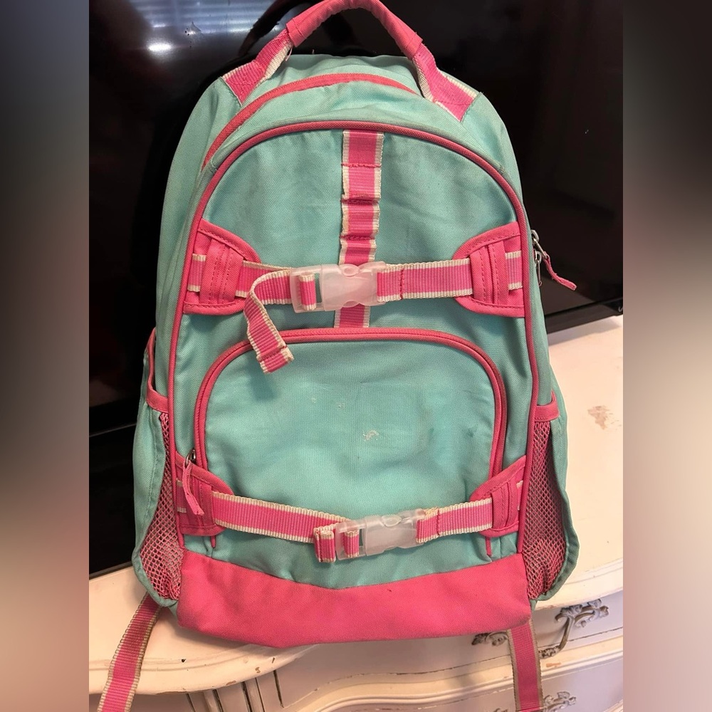 Large pottery barn backpack & bentgo lunchbox